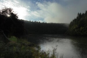 Yoga Retreat at Mulvarry House, Carlow / 22-24th May 2026