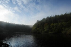 Yoga Retreat at Mulvarry House, Carlow / 22-24th May 2026