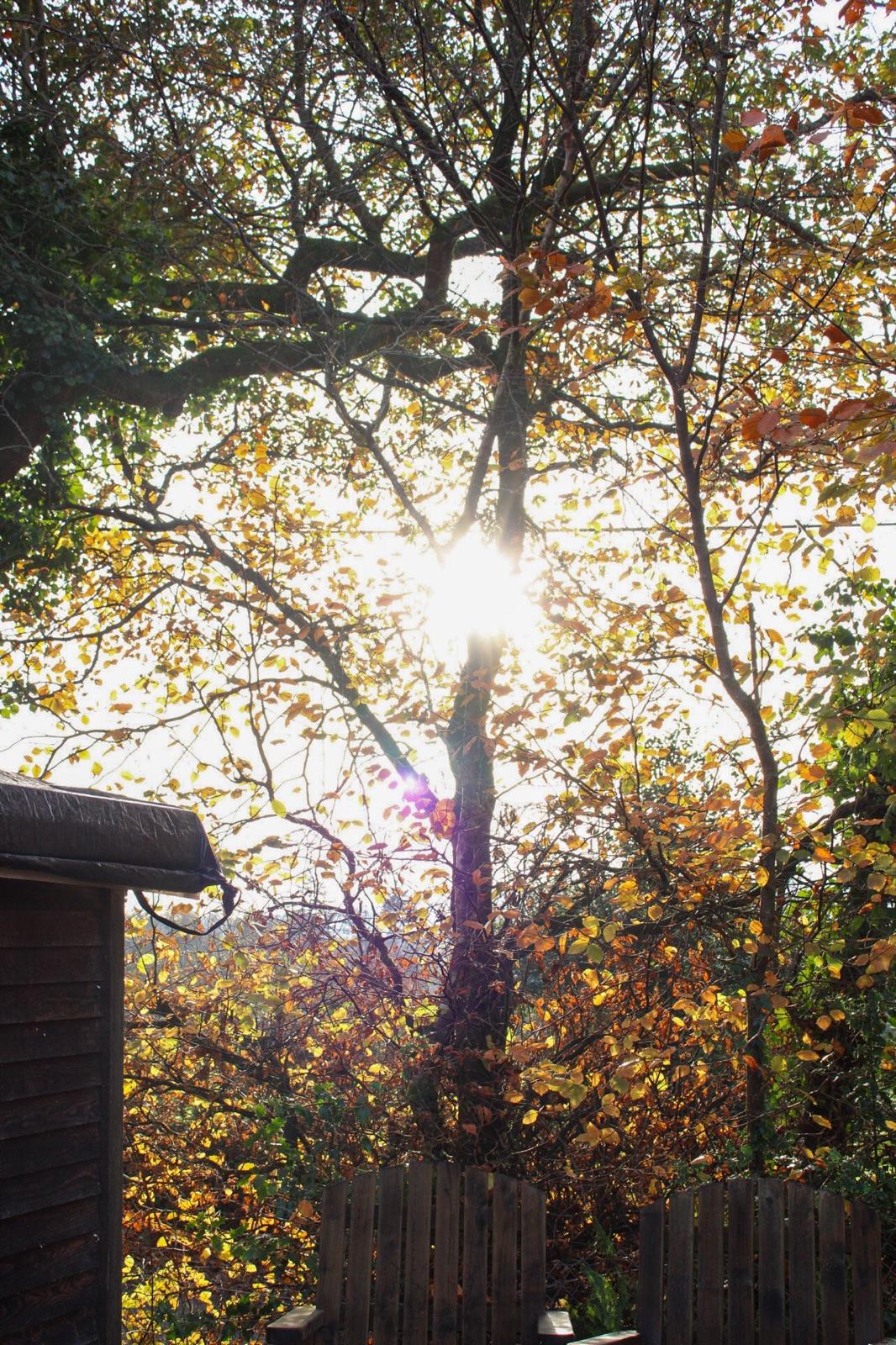 Yoga Retreat at Mulvarry House, Carlow / 22-24th May 2026